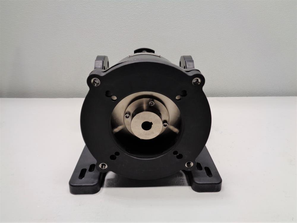 Pulsafeeder Eclipse Non-Metallic Gear Pump E25NLEF-X